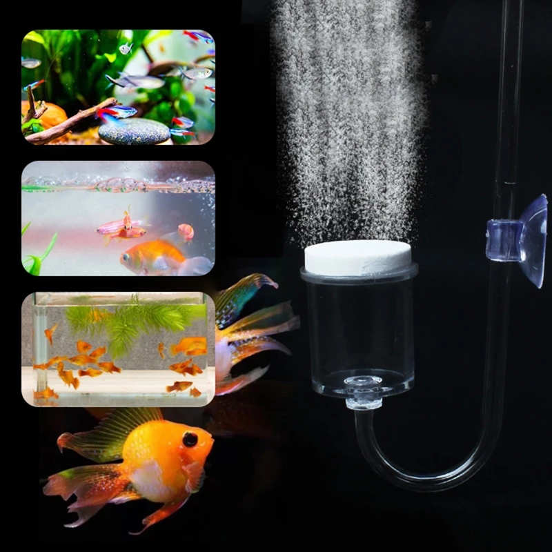 4pcs Set DIY CO2 Diffuser For  - đánh giá và giá Air Stone Diffuser